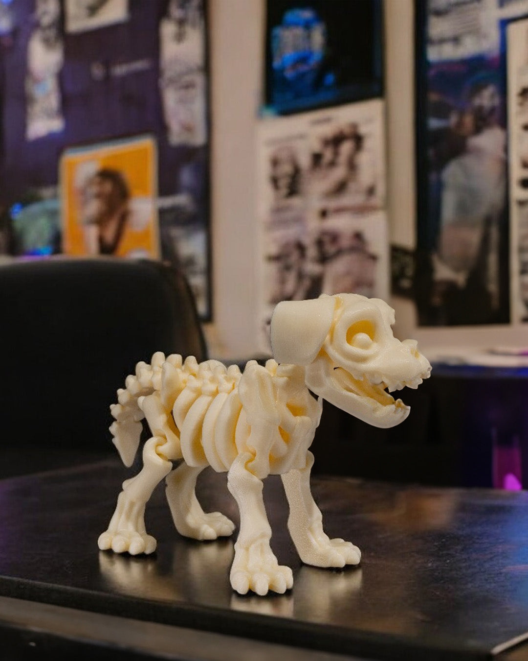 Skeleton Pets: A Whimsical Touch of the Macabre